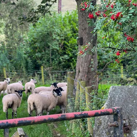 Сasa de vacaciones Fell View Bassenthwaite, Rural Location On A Working Farm In The Fells