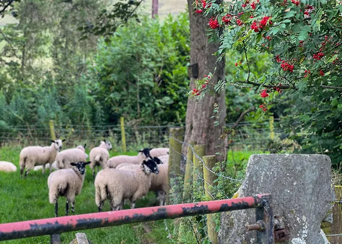 Holiday home Fell View Bassenthwaite, Rural Location On A Working Farm In The Fells